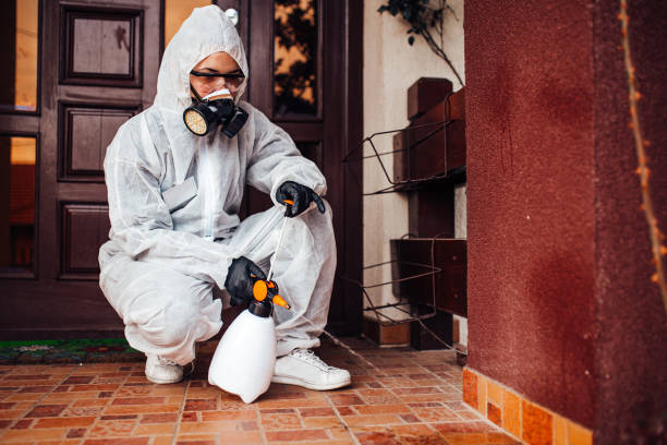 Reliable Ant Control contractor in Fort Pierce North, FL by Show Me Pest Control